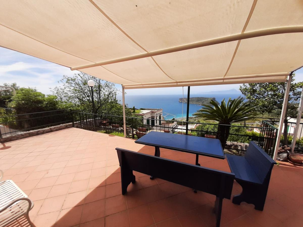 Arcomagno Guest House San Nicola Arcella Esterno foto
