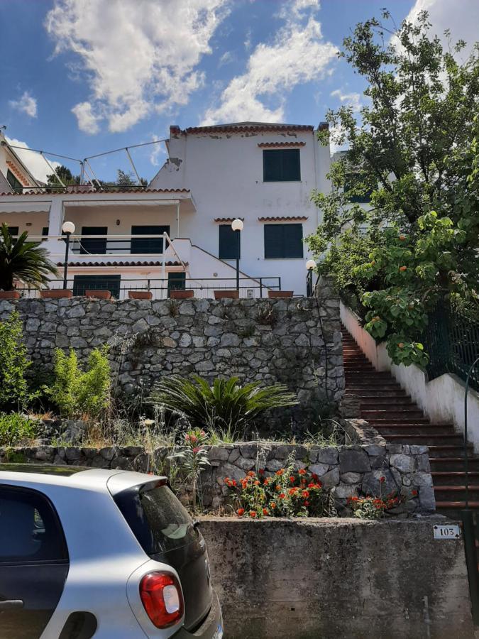 Arcomagno Guest House San Nicola Arcella Esterno foto